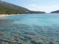 Thailand? Nein Malle!