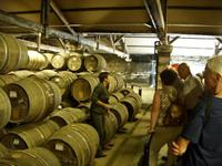Tag 8 - 4 Cognac mit Hennessy-Distellerie (9)