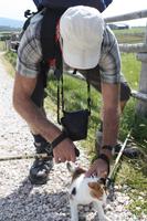 das Kätzlein mag nur nicht recht