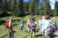 Siegfried erzählt die Geschichte von Laurins Rosengarten