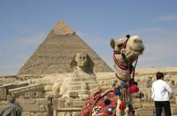 Kamel, Sphinx und Chephren-Pyramide