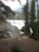 Athabasca-Wasserfälle