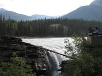 Athabasca-Wasserfälle