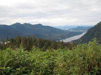 Wandern auf dem Mount Roberts in Juneau