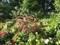 Vancouver - Queen Elisabeth Park