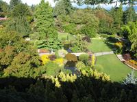 Vancouver - Queen Elisabeth Park