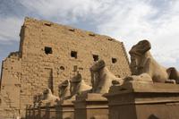 Widder Sphingen am Karnak-Tempel