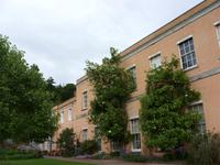 Tag 5 - 4 Killerton House and Gardens (2)