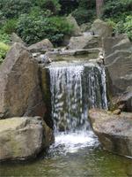 Im Japanischen Garten Bad Langensalza