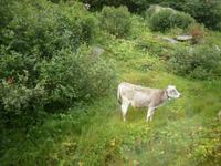 Ausblicke aus der Bahn...