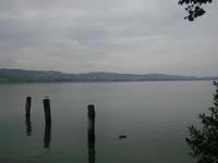 Sempacher See