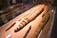 Krokodilmuseum am Kom Ombo Tempel