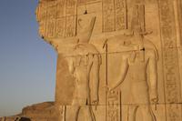 Relief im Kom Ombo Tempel
