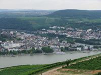 Blick auf Bingen