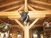 im Restaurant auf Sunnegga