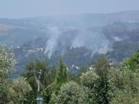 Waldbrand in Portugal