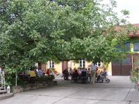 Bei der Weinprobe in Rust