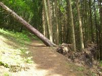 Da waren doch Riesen am Werk..