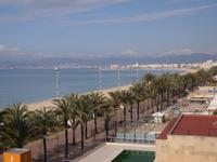 Blick nach Palma vom Hotel