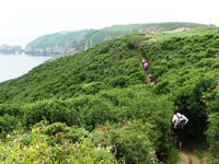 Wanderweg Sark