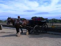 Beförderung auf Sark