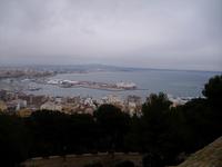 Hafen von Palma