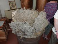 getrockneter Lavendel