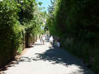 auf dem Weg nach Moustiers-Ste-Marie