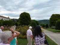 der botanische Garten auf dem Cimiez-Hügel