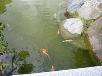 der japanische Garten Monte-Carlo