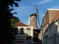 Gouda