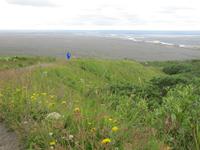 Kleine Wanderung zum Svartifoss