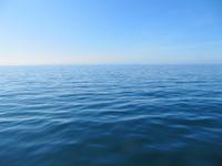 Ein Wal unter der Wasseroberfläche ;-)