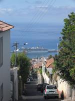Blick auf den Hafen von Funchal