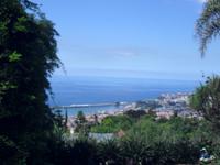 Blick auf den Hafen von Funchal
