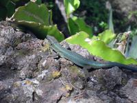 auch die Ureinwohner haben wir getroffen