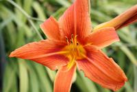 In den Gärten La Seigneurie