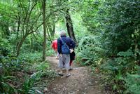 Spaziergang zur Küste