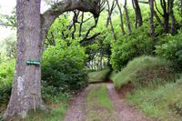 Spaziergang zur Küste