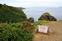 Spaziergang zur Küste