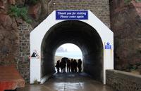 Wir suchen Schutz vor dem Regenschauer