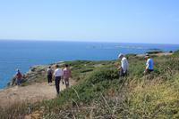 Küstenspaziergang auf Guernsey