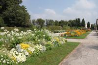 Nizza - Botanischer Garten