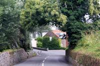 Kleine Allee im Landesinneren