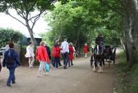 Spaziergang auf der Insel Sark
