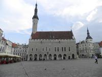 Rathaus von Tallinn