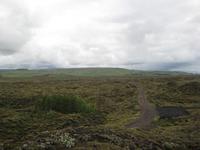 Lavafeld von Myrdalssandur