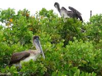 Puerto Ayora - Fischerhafen