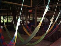 Tapir Lodge