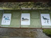 Lagune de Limpiopungo